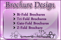 Brocsure Designing